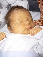a131_1024.jpg