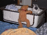 a150_1024.jpg