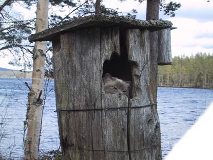 image002.jpg