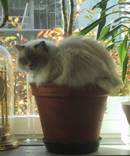 image012.jpg